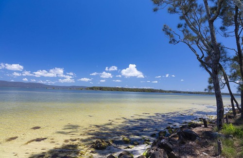 Green Point House | Song Bird Luxury Getaway