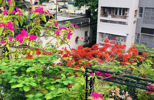 Kolkata Apartment | SONIA’s LUXUS