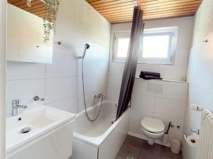 Arbon Apartment | Sonniges Bodensee-Balkonidyll