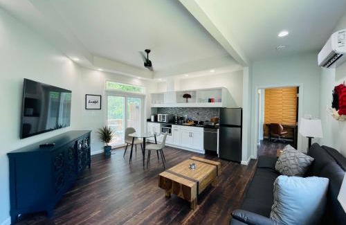 Charlottesville Apartment | Sonsak - Unit 3