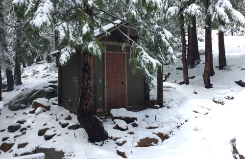 Strawberry House | Sophisticated Home. Stainless Kitchen to Cedar Sauna. Tesla Charger. Relax!