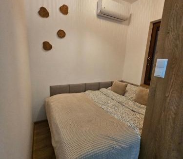 gmina Kotun House | Sosnowa Kępa