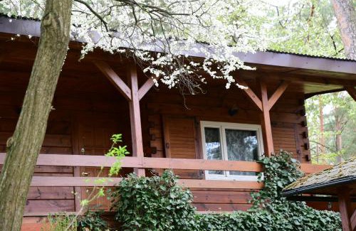 Sarnaki House | Sosnowy Domek
