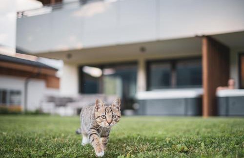 Valdaora di Mezzo House | Sottla - your mountain home