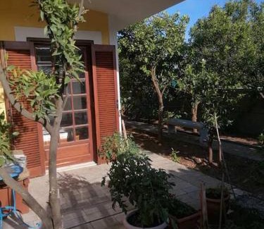 Lavreotiki Apartment | Sounio , Garden house