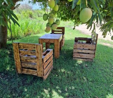 Petit-Canal House | Sous le manguier