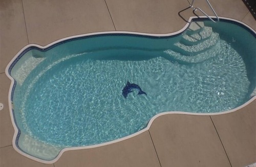 Salvo House | South Beach Salvo 8 BR Suites OceanSide Pool Cabana Paradise!