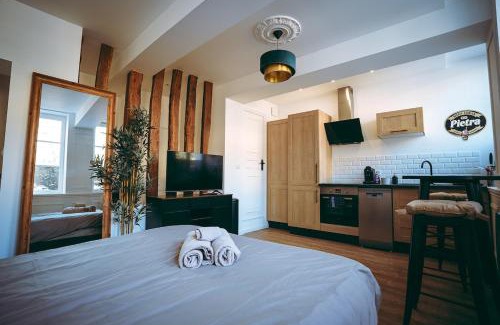 Quartier Vieux Marche-Cathedrale Apartment | Spa du palais jacuzzi sauna - Rouen centre - free parking