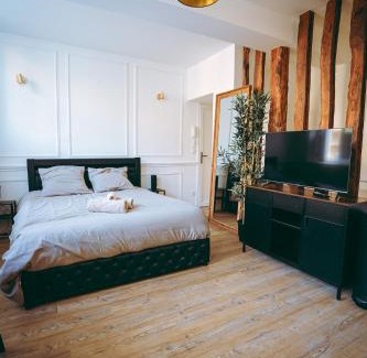 Quartier Vieux Marche-Cathedrale Apartment | Spa du palais jacuzzi sauna - Rouen centre - free parking