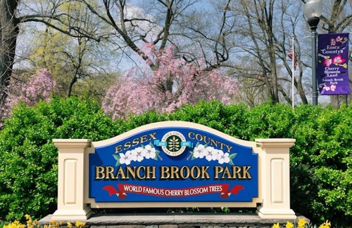 Upper Roseville Apartment | Spacious 2 bedroom , 1 bath - 3 beds , comfortably sleeps 4