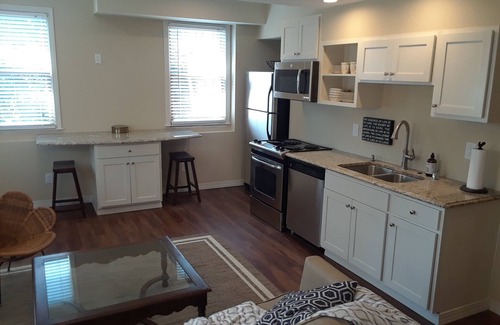 Sandy Springs Apartment | Spacious 2 Bedroom Private Apartment - Atlanta