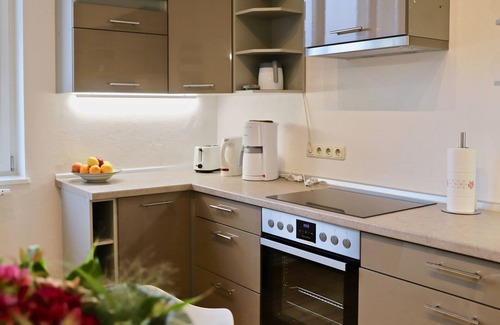 Buhlau/Weier Hirsch Apartment | Spacious 200 sqm apartment in villa with garden and WiFi in wonderful Dresden