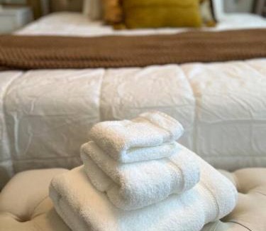 Lancaster House | Spacious 3B 2BA Home with High Ceilings and Large Patio