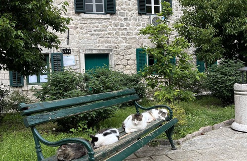 Kotor Old Town Apartment | Spacious apartment in the heart of the Old Town