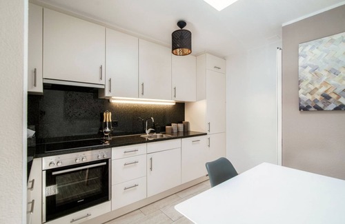 Paradiso Apartment | Spacious apartment with Terrace in Paradiso (TERRAZZA PARADISO)