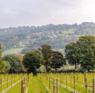 Inchbrook Apartment | Spacious farmhouse with stunning valley views