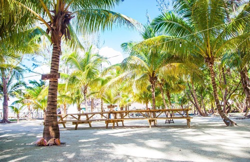 Thatch Caye Resort | Spacious Overwater Bungalow w/Air Conditioning & Private Walk-In Shower