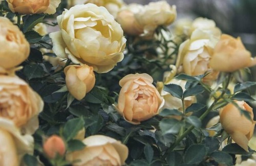 Pirgi Villa | Spartilas View - Five Bedroom Villa, Sleeps 10