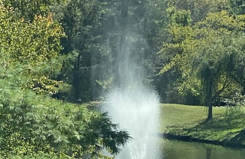 Old Jamestown House | Spectacular Ranch Design w/breathtaking views