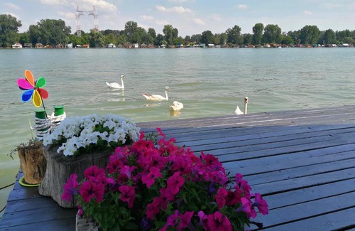 Novi Beograd House | Splav Different life