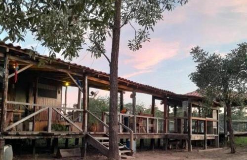 Nhecolandia Apartment | Spot Jaguar Pantanal South Lodgen wild Jaguar Tour