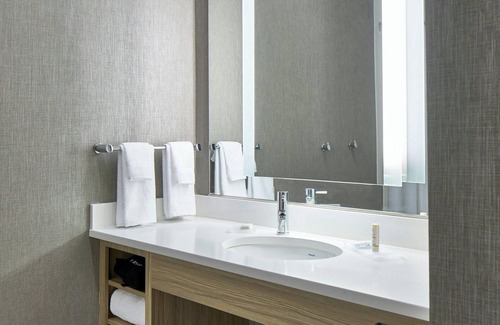 Paw Creek Hotel | SpringHill Suites by Marriott Charlotte at Carowinds