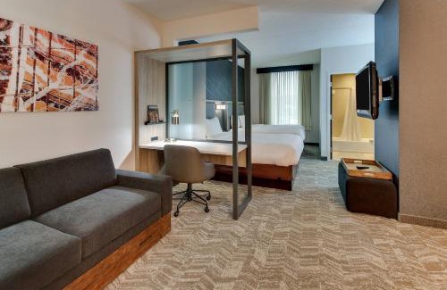Five Points South Hotel | SpringHill Suites by Marriott Birmingham Downtown at UAB