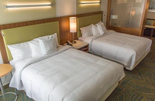 Sumter Hotel | SpringHill Suites by Marriott Sumter