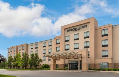 Auburn Hills Hotel | SpringHill Suites Detroit Auburn Hills
