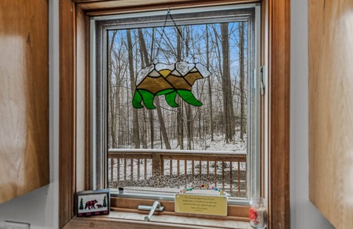 Berkeley Springs House | Sqyrls Nest - hot tub, pets, fire pit, game room, grill, wifi, view
