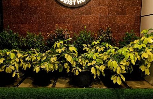 East Nada Cabin | SREENARAYANA TOURIST HOME