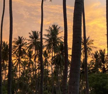 Lalgudi House | Srirangam Heritage Farmhouse - Perfect Spot for Parties & Events