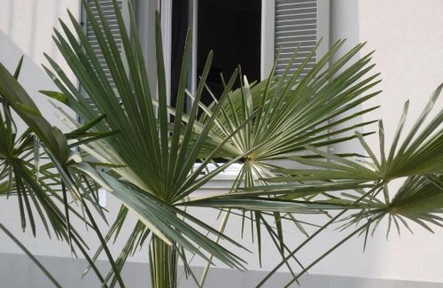 Bergamo House | Stanze Ildesco