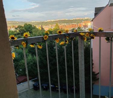 Golcuv Jenikov Apartment | Star #2C215