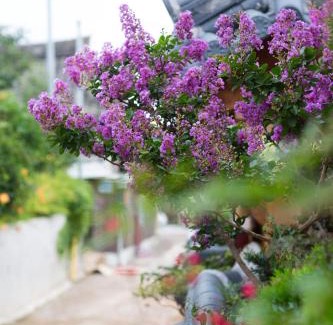 Jeonju House | Starlight Rest Area