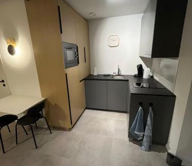 Oud-Turnhout Apartment | Starling