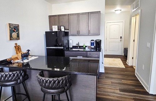 Champaign Apartment | Stay at the Historic Inman - 208