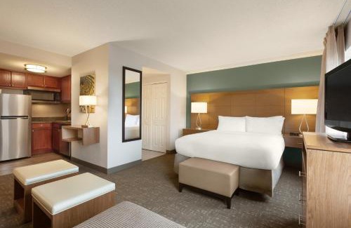 Tampa Hotel | Staybridge Suites Tampa East- Brandon by IHG