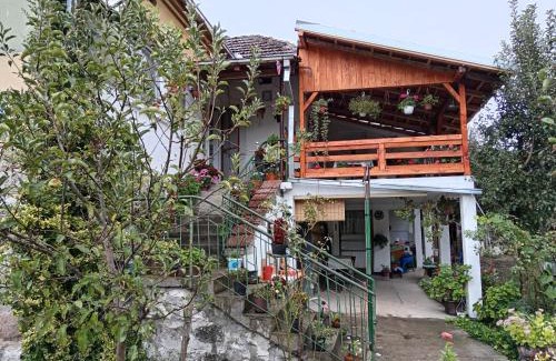 Stara Planina House | STD Verice Đorđević