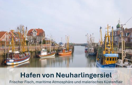 Stedesdorf Apartment | Stedesdorf, Nordsee Ferienwohnung 'Möwe'