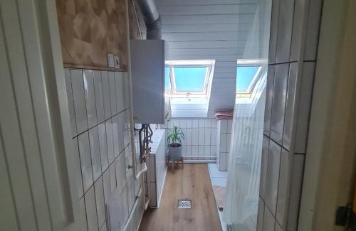 Kiskunfelegyhaza Apartment | Stepin