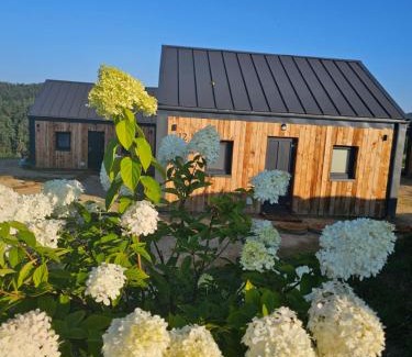 Solina House | Stodoły w Bieszczadzie domy z sauną i widokiem na góry