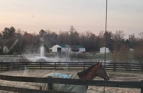 Chesterfield Apartment | Stonewall Manor nCozy 1-bedroom with WiFi and AC on five star horse farm.