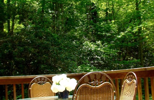 Robbinsville Cabin | Stoney Hollow Farm Cabin