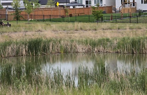 Fort Gary House | Stormwater Haven: Peaceful, Stylish and comfortable space in South Winnipeg.