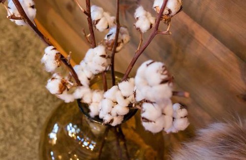 Møre og Romsdal House | Strandafjellet Mountain Lodge