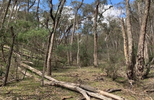 Carcalgong House | Streams and Dreams - Mudgee Region