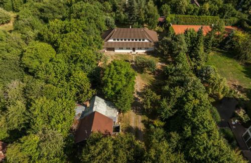 Tocna House | Strom času