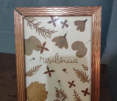 Palmas Apartment | Studio 2 próximo ao Centro