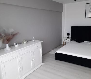 Fagaras Apartment | Studio ANA